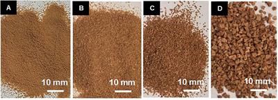 Processing–Structure–Properties of Cork Polymer Composites
